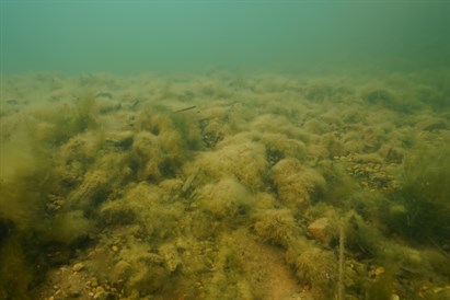 Nurkowanie w kamieniołomie z instruktorem – Baza Nurkowa Honoratka