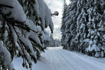 Weekend skiturowy w Gorcach: Narty i Relaks – Rivent