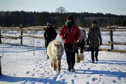 Spacer z końmi pod Warszawą: 1-2,5 h relaksu na łonie natury