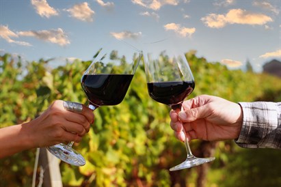 Romantyczna degustacja win w mazowieckiej Toskanii i winem w prezencie - Winnica Dwórzno dla dwojga