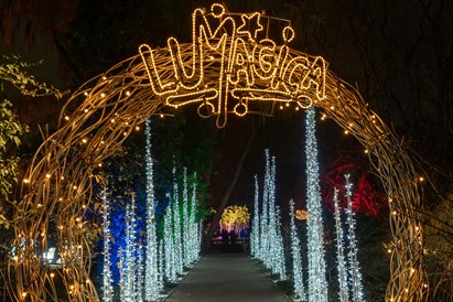 Rodzinny voucher do Ogrodu Świateł Lumagica Warszawa dla 4 osób