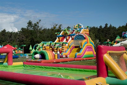 Bilet normalny do Parku Julinek, Wesołego Miasteczka i Parku Wodnego