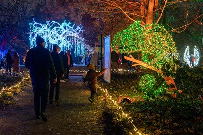 Lumagica Warszawa – voucher na spacer po Ogrodzie Świateł dla dwojga