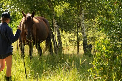 Spacer z końmi pod Warszawą: 1-2,5 h relaksu na łonie natury