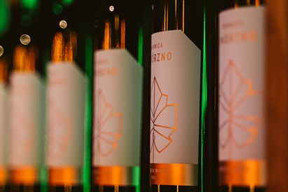 Zwiedzanie Winnicy Dwórzno z degustacją i winem do wyboru