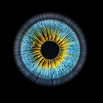 Zdjęcie tęczówki oka: artystyczna sesja w A-Eye Gallery Łódź