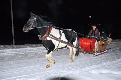 Romantyczny kulig dla pary – przejażdżka saniami za dnia w Zakopanem