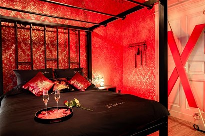 Romantyczny pobyt dla Dwojga w Apartamencie Organza - Toruń