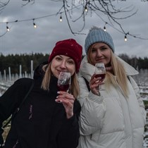 Winnica Dwórzno zimą – zwiedzanie, degustacja i wino dla dwojga!