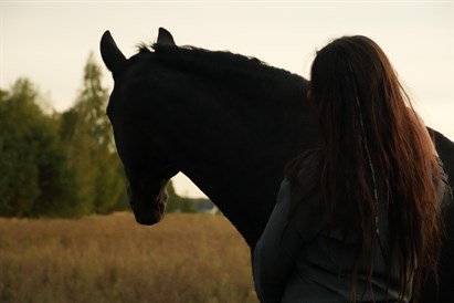 Sesja rozwojowa HAE w asyście koni – Osada Przygoda pod Warszawą