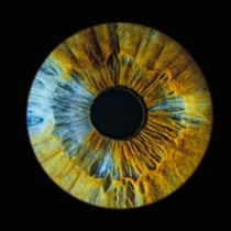 Magia oka – niepowtarzalna sesja w A-Eye Gallery we Wrocławiu