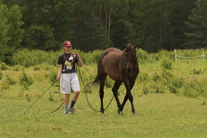 Spacer z końmi pod Warszawą: 1-2,5 h relaksu na łonie natury