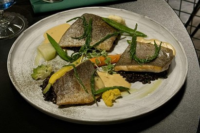 Kolacja w Restauracji Andromeda Alfa w Krakowie