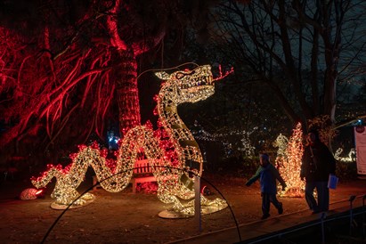 Rodzinny voucher do Ogrodu Świateł Lumagica Warszawa dla 4 osób