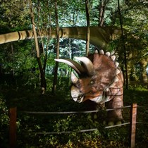 Bilet do parku rozrywki Zatorland