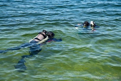 Kurs nurkowania Open Water Diver