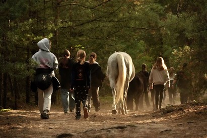Sesja rozwojowa HAE w asyście koni – Osada Przygoda pod Warszawą