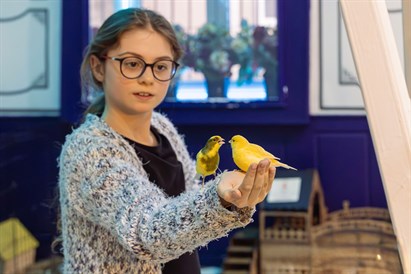 Muzeum Żywych Motyli w Gdańsku - bilet dla 1 osoby