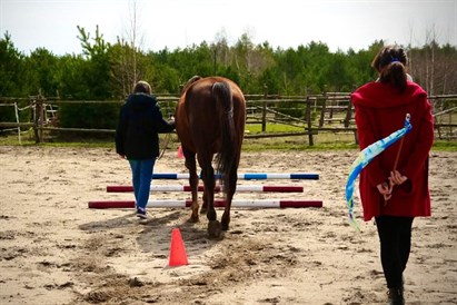 Sesja rozwojowa HAE w asyście koni – Osada Przygoda pod Warszawą