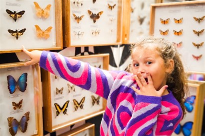 Muzeum Żywych Motyli - Zakopane