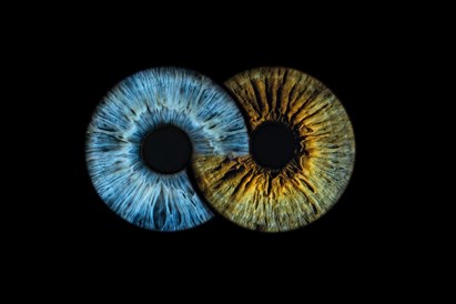 Wspólna zdjęcie tęczówek – sesja foto dla dwojga | A-Eye Gallery Łódź