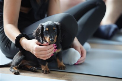 Puppy Yoga Warszawa: joga ze szczeniakami dla 1 lub 2 osób